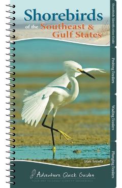 Shorebirds of the Southeast & Gulf States: Your Way to Easily Identify Shorebirds