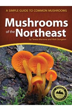 Mushrooms of the Northeast: A Simple Guide to Common Mushrooms - Teresa Marrone