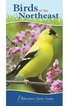 Birds of the Northeast: Your Way to Easily Identify Backyard Birds - Stan Tekiela