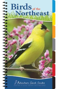 Birds of the Northeast: Your Way to Easily Identify Backyard Birds - Stan Tekiela