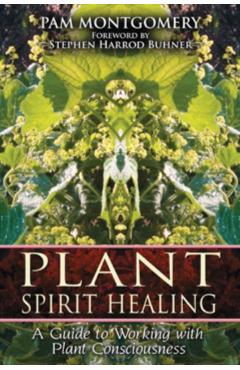 Plant Spirit Healing: A Guide to Working with Plant Consciousness - Pam Montgomery