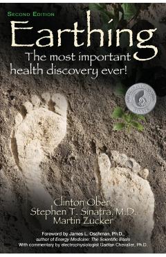 Earthing: The Most Important Health Discovery Ever! - Clinton Ober