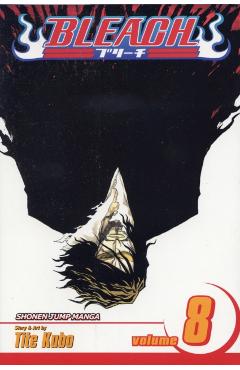 Bleach, Vol. 8, Volume 8: The Blade and Me - Tite Kubo