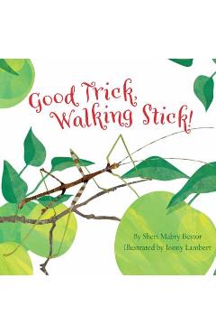 Good Trick Walking Stick - Sheri M. Bestor