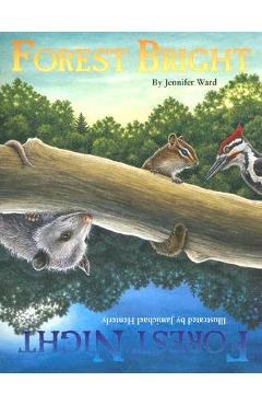 Forest Bright, Forest Night - Jennifer Ward