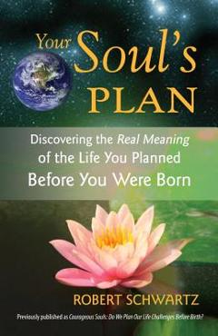Your Soul\'s Plan: Discovering the Real Meaning of the Life You Planned Before You Were Born - Robert Schwartz
