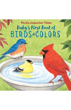 Baby\'s First Book of Birds & Colors - Phyllis Limbacher Tildes