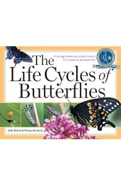 The Life Cycles of Butterflies: From Egg to Maturity, a Visual Guide to 23 Common Garden Butterflies - Judy Burris