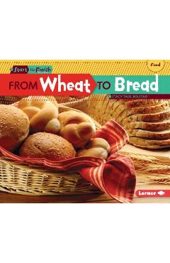 From Wheat to Bread - Stacy Taus-bolstad