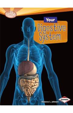 Your Digestive System - Rebecca L. Johnson