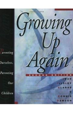 Growing Up Again: Parenting Ourselves, Parenting Our Children - Jean Illsley Clarke