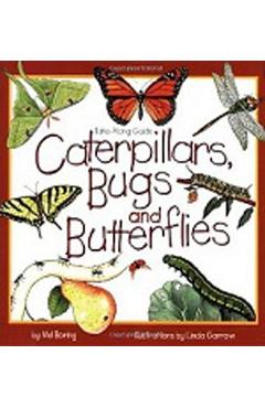 Caterpillars, Bugs and Butterflies: Take-Along Guide - Mel Boring