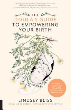 The Doula\'s Guide to Empowering Your Birth: A Complete Labor and Childbirth Companion for Parents to Be - Lindsey Bliss