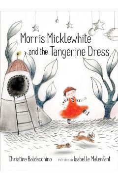 Morris Micklewhite and the Tangerine Dress - Christine Baldacchino