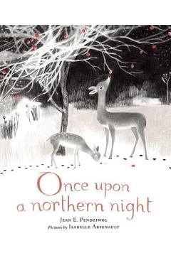 Once Upon a Northern Night - Jean E. Pendziwol