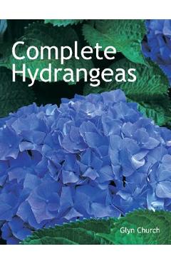 Complete Hydrangeas - Glyn Church