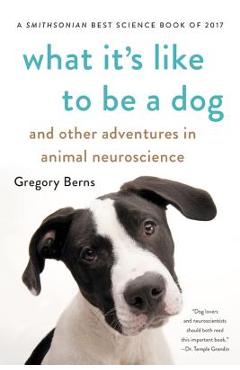 What It\'s Like to Be a Dog: And Other Adventures in Animal Neuroscience - Gregory Berns