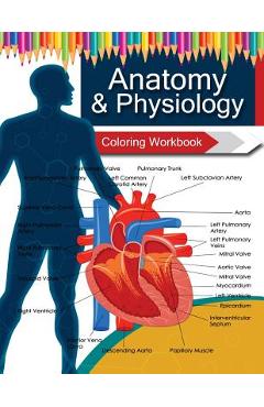 Anatomy & Physiology Coloring WorkBook Books - Anatomy Coloring Book