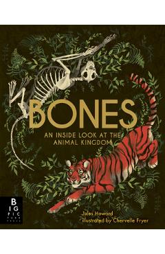 Bones: An Inside Look at the Animal Kingdom - Jules Howard
