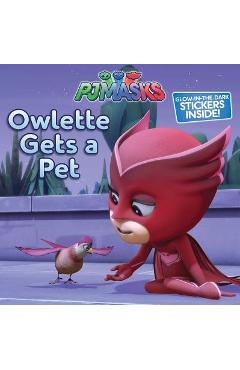 Owlette Gets a Pet - Maggie Testa