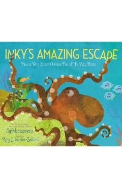 Inky\'s Amazing Escape: How a Very Smart Octopus Found His Way Home - Sy Montgomery