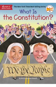 What Is the Constitution? - Patricia Brennan Demuth