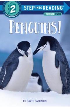 Penguins! - David Salomon