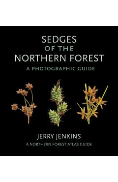 Sedges of the Northern Forest: A Photographic Guide - Jerry Jenkins