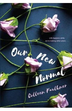 Our New Normal - Colleen Faulkner
