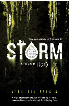The Storm - Virginia Bergin