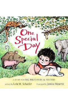 One Special Day: A Story for Big Brothers and Sisters - Lola M. Schaefer