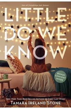 Little Do We Know - Tamara Ireland Stone