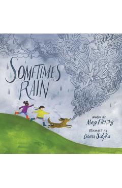 Sometimes Rain - Meg Fleming