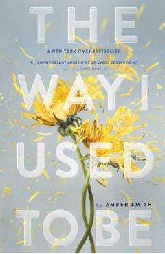 The Way I Used to Be - Amber Smith