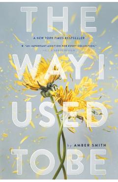 The Way I Used to Be - Amber Smith