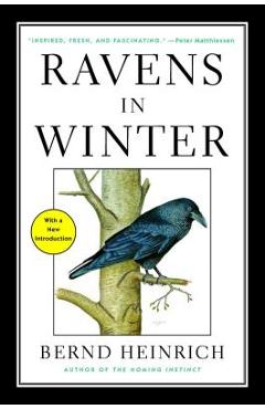 Ravens in Winter - Bernd Heinrich