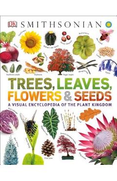 Trees, Leaves, Flowers and Seeds: A Visual Encyclopedia of the Plant Kingdom - Dk