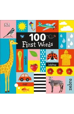 100 First Words - Dk