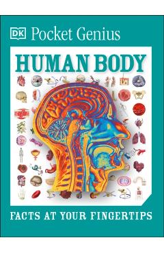 Pocket Genius: Human Body: Facts at Your Fingertips - Dk