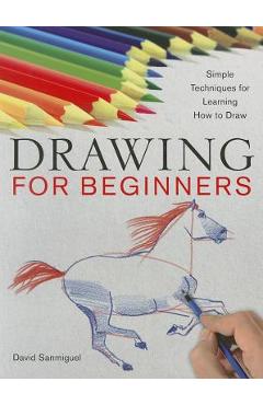 Drawing for Beginners: Simple Techniques for Learning How to Draw - David Sanmiguel