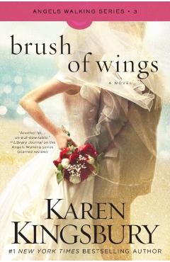 Brush of Wings, Volume 3 - Karen Kingsbury