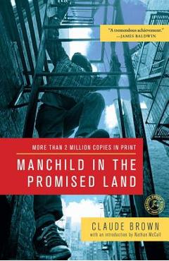 Manchild in the Promised Land - Claude Brown