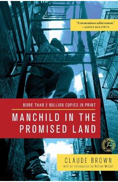Manchild in the Promised Land - Claude Brown