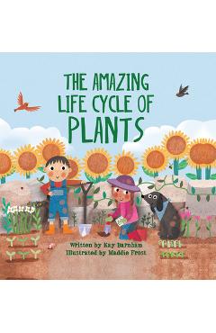 The Amazing Life Cycle of Plants - Kay Barnham