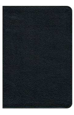 Premium Bible-NRSV - Cokesbury