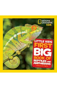 Little Kids First Big Book of Reptiles and Amphibians - Catherine D. Hughes