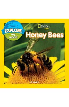 Explore My World: Honey Bees - Jill Esbaum
