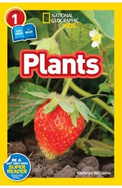 Plants - Kathryn Williams