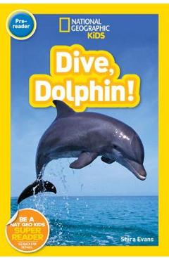 Dive, Dolphin - Shira Evans