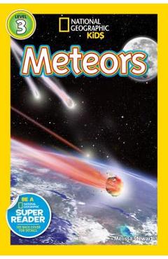 Meteors - Melissa Stewart